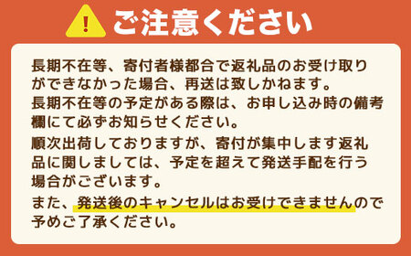 定期便全3回 福岡県産 あまおう 合計1500g 先行予約 2027年1月・2月・3月発送予定　BA024-3