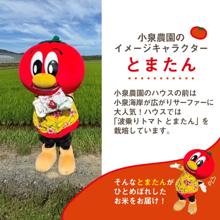 宮城県産 とまたんのひとめぼれ 3kg ひとめぼれ 