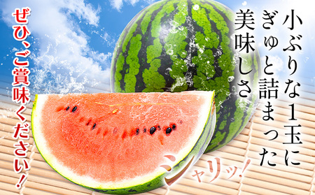 すいか 紅小玉 1玉 わらく農園《2027年7月上旬-7月下旬頃出荷》熊本県 津奈木町 青果物 すいか 西瓜 スイカ 果物 フルーツ