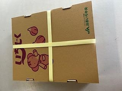 【露地栽培】朝もぎ フレッシュな完熟いちじく 碧南市 にいみ農園 フルーツ いちじく トマト農家 H031-007