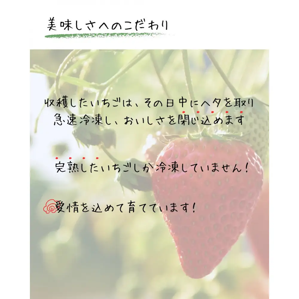 【ふるなびWEEK対象】【訳アリ 冷凍いちご】静岡県産の完熟紅ほっぺを使用した冷凍いちご1kg【静岡県産】