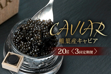 〈3回定期便〉【桐箱入り】キャビア 20g × 3回配送 計60g【世界三大珍味×日本三大秘境】 宮崎 椎葉 国産 チョウザメ キャビア 魚卵 定期便 魚介 珍味 贈答 SZ-103_3teiki