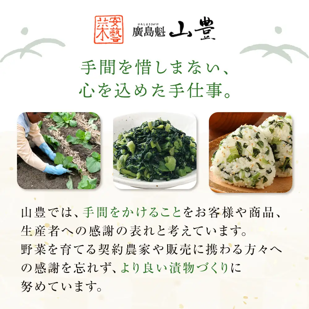 【先行予約】広島菜漬「安藝菜」 5.0kg（2026年度11月以降順次配送）
