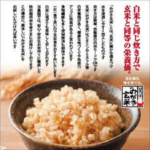 【先行予約】【西間農園】特別栽培米 みがき玄米 ゆめぴりか 5kg【12月から1月上旬発送】JGAP認証農場 米 お米 北海道米 特Aランク 国産 コメ 北海道 比布町 1005-051