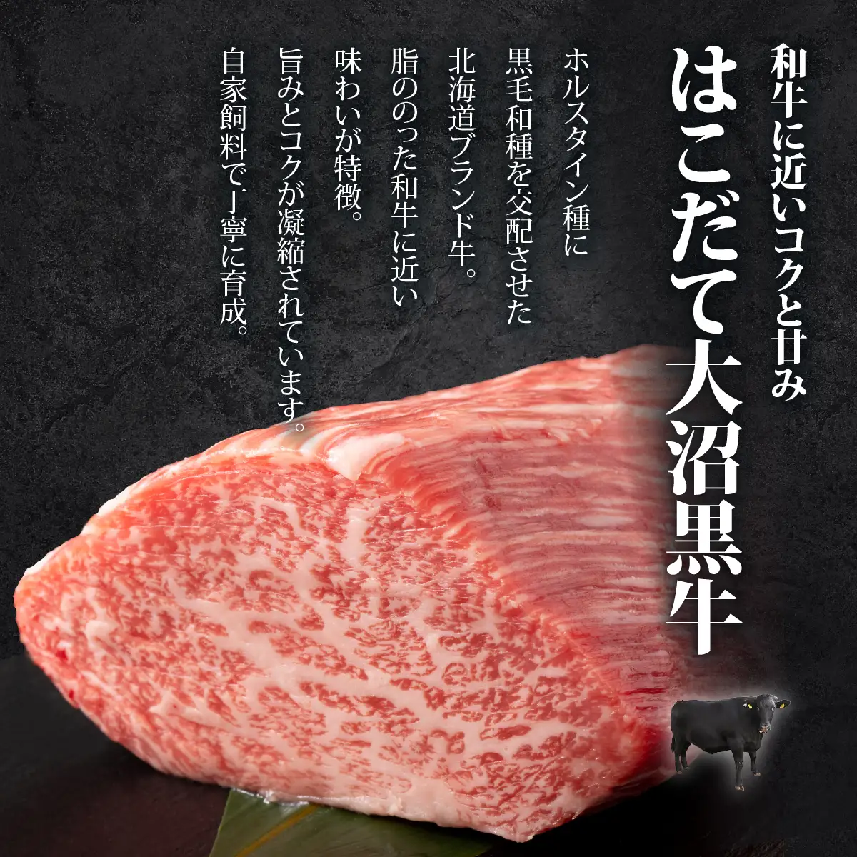 【北海道ブランド牛】大沼黒牛の特選セット 定期便3ヶ月 NAM059