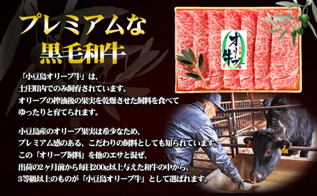 牛肉 オリーブ牛 和牛 黒毛和牛 香川県産 牛肉【6ヶ月】【定期便】