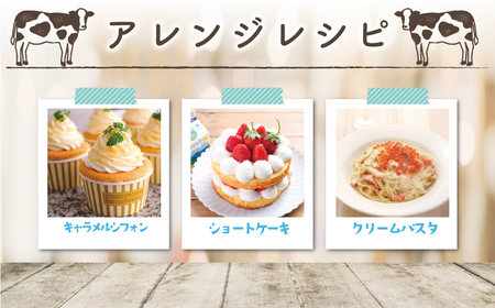 クリーム 中沢クレームフレーシュ 500g 1本 【 クリーム 】