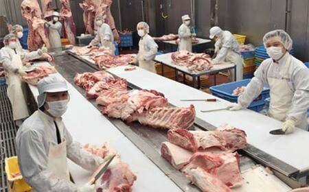 栃木県産 厳選下野牛！ ローストビーフ用 モモ肉 約500g 国産 ブランド牛 牛肉 肉 もも肉 加工用 ローストビーフ 高級 塊肉 塊 調理 食品 冷凍 贈答 贈り物 ギフト プレゼント 自宅 家庭 栃木県 足利市 F7Z-1602
