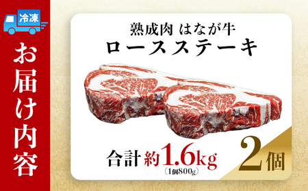 ＜熟成肉 はなが牛リブロースブロック約1.6kg（800g×2個）＞ 牛肉 ステーキ 鉄板焼き 焼き肉 国産 塊肉 かたまり 霜降り しもふり バーベキュー BBQ キャンプ アウトドア 特産品 ゆうぼく 愛媛県 西予市【冷凍】『2か月以内に順次出荷予定』UYB0019