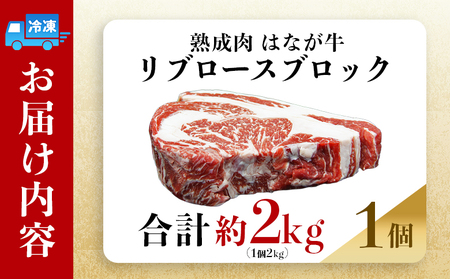 ＜熟成肉 はなが牛リブロースブロック約2kg（2kg×1個）＞ 牛肉 ステーキ 鉄板焼き 焼き肉 国産 塊肉 かたまり 霜降り しもふり バーベキュー BBQ キャンプ アウトドア 特産品 ゆうぼく 愛媛県 西予市【冷凍】『2か月以内に順次出荷予定』UYB0021