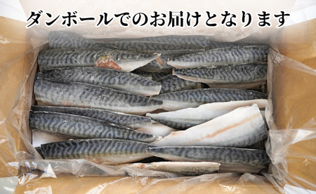 訳あり 塩サバ 腹骨取り 約3.5kg 【9月以降配送】 サバ
