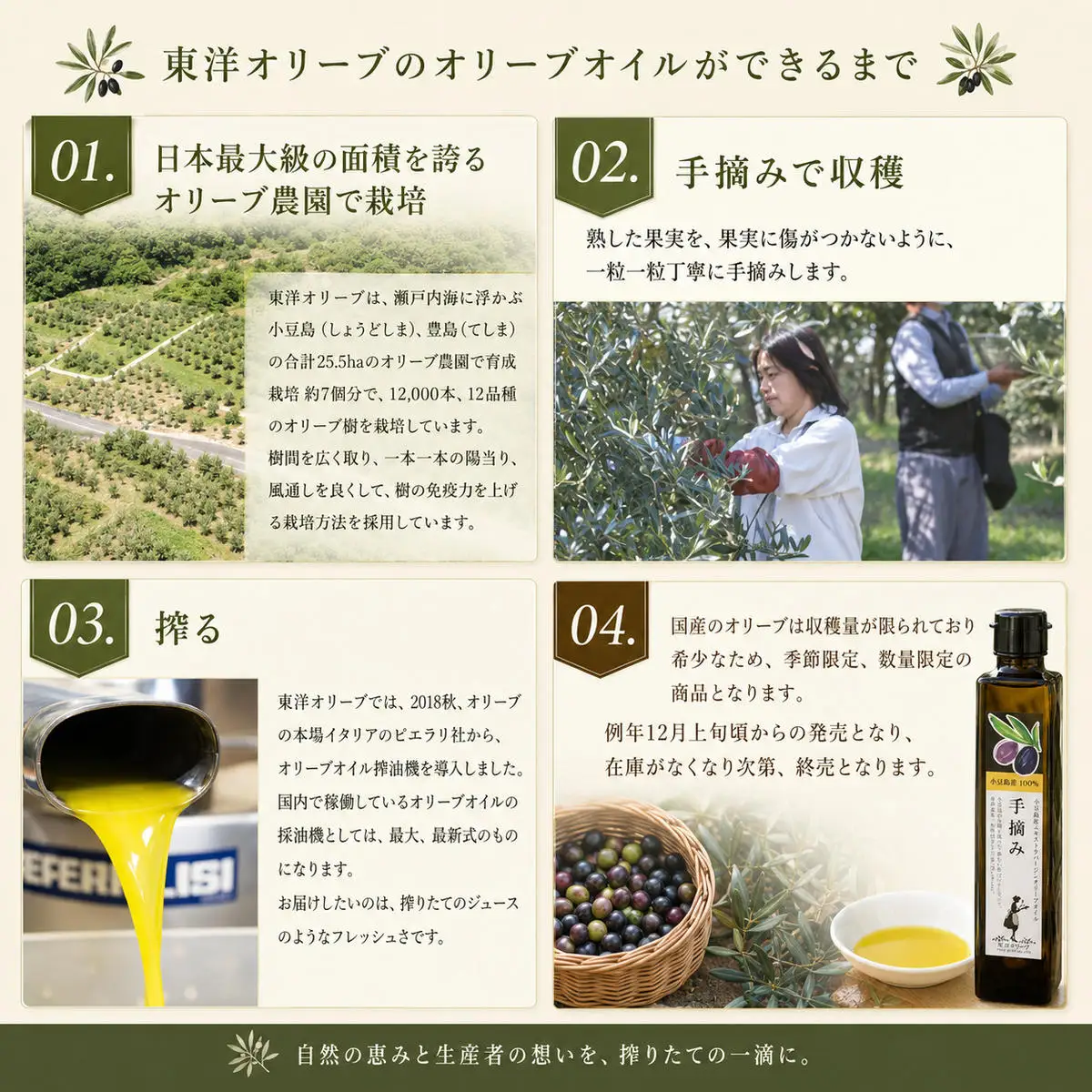 【 小豆島 】【予約商品】小豆島産エキストラバージンオリーブオイル［手摘み］182g　調味料 植物油 フルーティー ちょい足し 贈り物 ギフト 