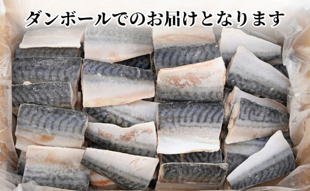 訳あり 塩サバ 腹骨取り 切身 約3.5kg 【9月以降配送】 サバ
