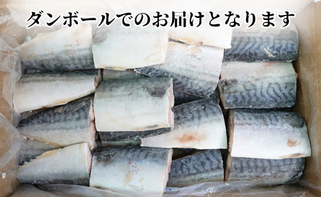 訳あり 熟成 塩鯖 3.5kg 【9月以降配送】 鯖