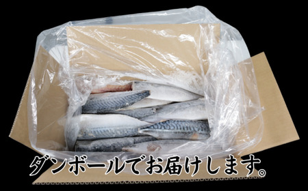 訳あり 食塩不使用 さば フィーレ 3.5kg 【10月以降配送】 さば