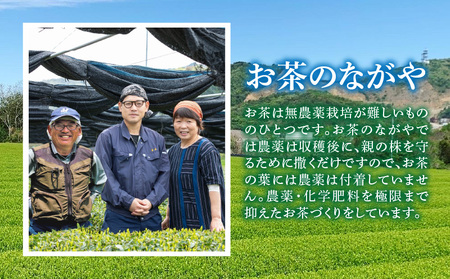【吉良茶】まろやかかぶせ茶ティーバッグ　5g×20個入　5パック　計500g・O055