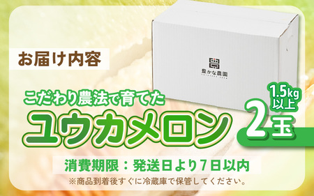 ユウカメロン 2玉 (1玉あたり：1.5kg以上)【2027年6月中旬以降発送】メロン フルーツ [A-21220]