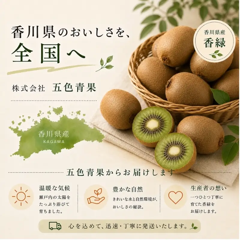 キウイ フルーツ 香川オリジナル 香緑 香川県産 キウイ【約3kg】