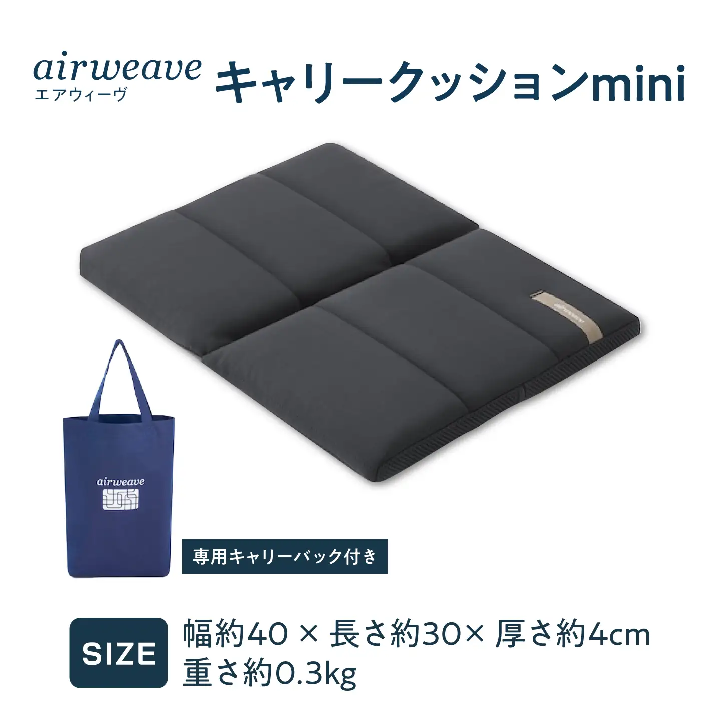 エアウィーヴ キャリークッション mini[AQBV177] エアウィーヴ 新商品