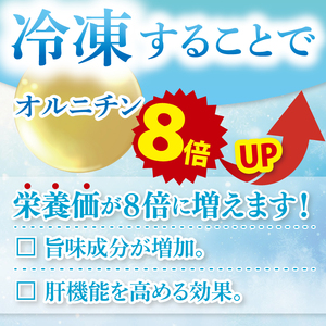 茨城県涸沼川産 だしの濃さに違いが出る！手掘しじみ（砂抜き）500g×４個（２kg）（MS-8）
