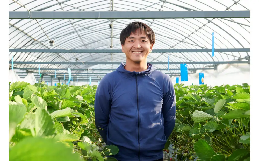 先行受付【静岡県産いちご】完熟紅ほっぺ・きらぴ香2パックセット（300g×2パック）【2027年1月下旬以降発送予定】