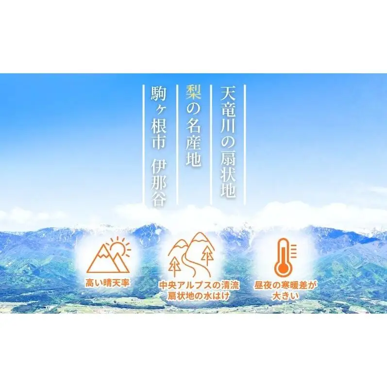 梨 訳あり 南水 4kg (8玉〜12玉)  梨