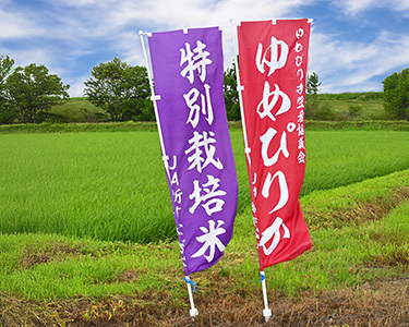 【新米予約】北海道奈井江町　特別栽培米　ゆめぴりか　5kg