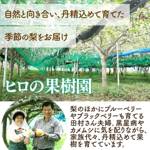 【ふるさと納税】＜梨 詰め合わせ 品種おまかせ 約3kg（3～7玉）和梨 ヒロの果樹園 ＞ なし fruit フレッシュ 旬 果物 くだもの 高知県 佐川町産【常温】＜2025年7月下旬～8月上旬以降発送＞