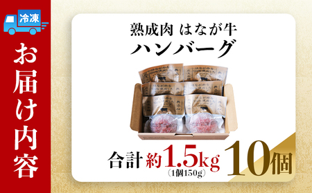 ＜熟成肉 はなが牛ハンバーグ 10個（1個150g）＞ 肉 お肉 牛肉 牛 ビーフ 牛100％ 肉加工品 お惣菜 洋食 おかず 弁当 ランチ ディナー 国産 小分け 個包装 簡単調理 特産品 ゆうぼく 愛媛県 西予市 【冷凍】『2か月以内に順次出荷予定』UYB0025