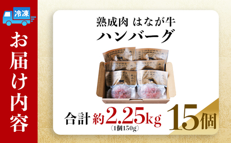 ＜熟成肉 はなが牛ハンバーグ 15個（1個150g）＞ 肉 お肉 牛肉 牛 ビーフ 牛100％ 肉加工品 お惣菜 洋食 おかず 弁当 ランチ ディナー 国産 小分け 個包装 簡単調理 特産品 ゆうぼく 愛媛県 西予市 【冷凍】『2か月以内に順次出荷予定』UYB0026