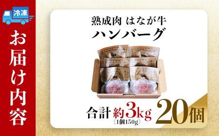 ＜熟成肉 はなが牛ハンバーグ 20個（1個150g）＞ 肉 お肉 牛肉 牛 ビーフ 牛100％ 肉加工品 お惣菜 洋食 おかず 弁当 ランチ ディナー 国産 小分け 個包装 簡単調理 特産品 ゆうぼく 愛媛県 西予市 【冷凍】『2か月以内に順次出荷予定』UYB0027