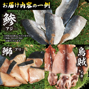 未来干物 おまかせ3種セット 合計6パック