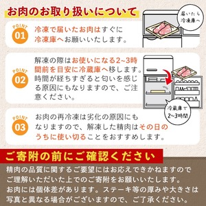 鹿児島 黒豚 切り落とし 豚肉 (計4.2kg・300g×14P) 【居食肉】A834