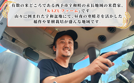 ＜令和7年産 愛媛県西予市産 コシヒカリ 5kg＞ 5キロ こしひかり 国産 宇和米 お米 コメ ライス こめ ごはん 白米 精米 米 西予応援米 愛媛県産 宇和町産 KAZUファーム 愛媛県 西予市【常温】『2025年10月～12月に順次発送予定』UKF0001