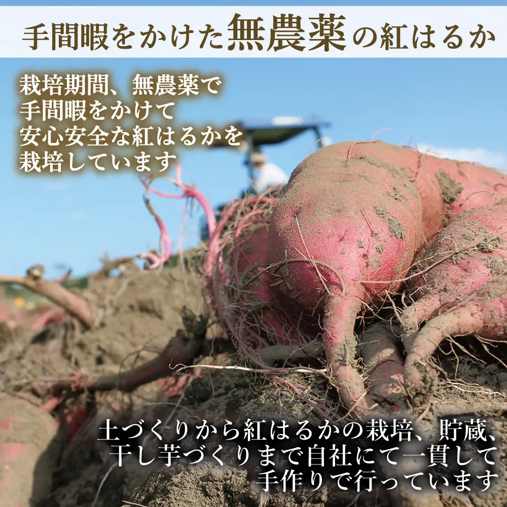 福島産 紅はるか 干し芋 食べ比べセット(平干し200g+皮つき270g)  無添加 ＜2027年1月以降順次発送＞ 新地町