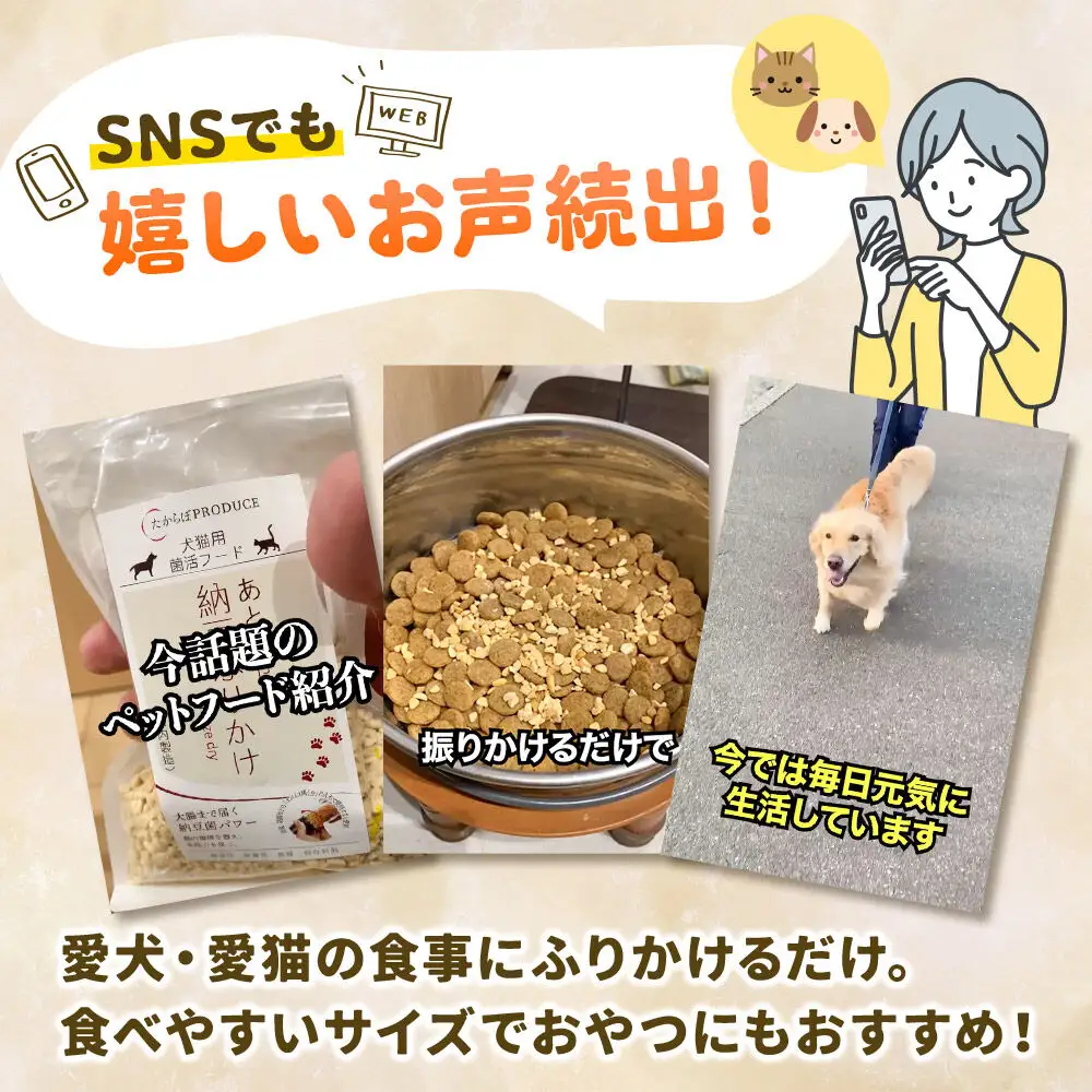 犬猫用 あとのせ納豆ふりかけ（レギュラーサイズ）50g×5個 計250g  ペット 秋田県 大仙市