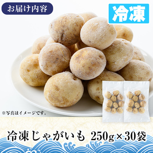 冷凍じゃがいも (計7.5kg・250g×30袋) ジャガイモ ニシユタカ にしゆたか 冷凍 ボイル 小分け 小玉 小さめ フライ アヒージョ スープ カレー シチュー 簡単調理 お弁当 おかず 野菜 赤土 【有限会社やまた水産食品】akn036-07