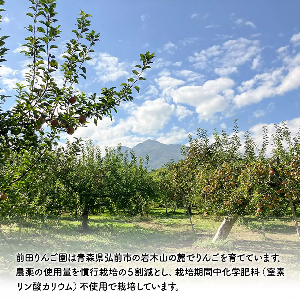 【26年10月発送】りんご【訳あり】紅玉 約5kg 前田りんご園