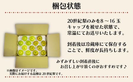 【数量限定】梨 5kg 20世紀 梨 FQ005
