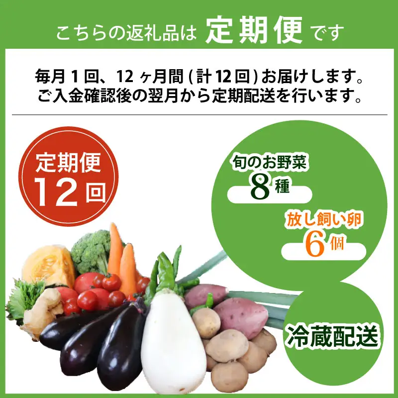 【12回定期便】旬のお野菜詰め合わせセット 卵 6個付 野菜