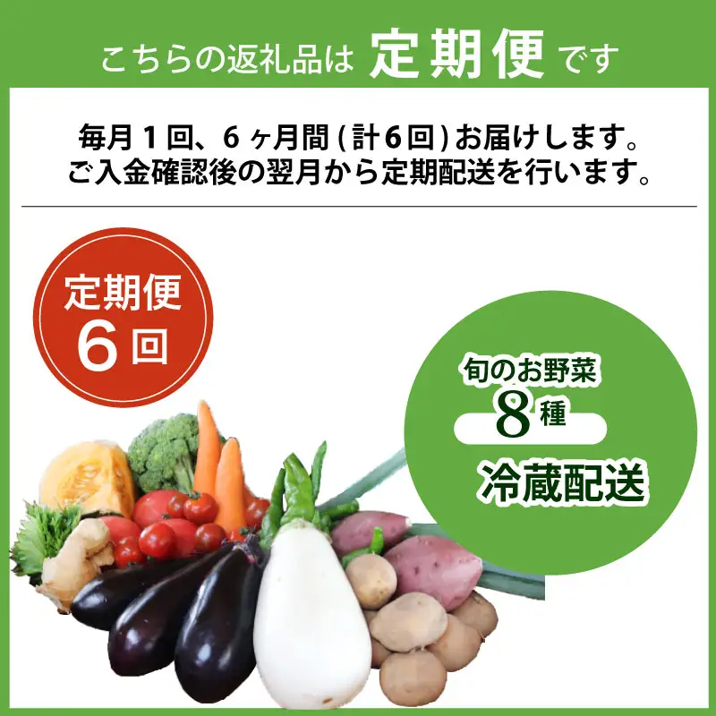 【6回定期便】旬のお野菜詰め合わせセット 定期便 野菜