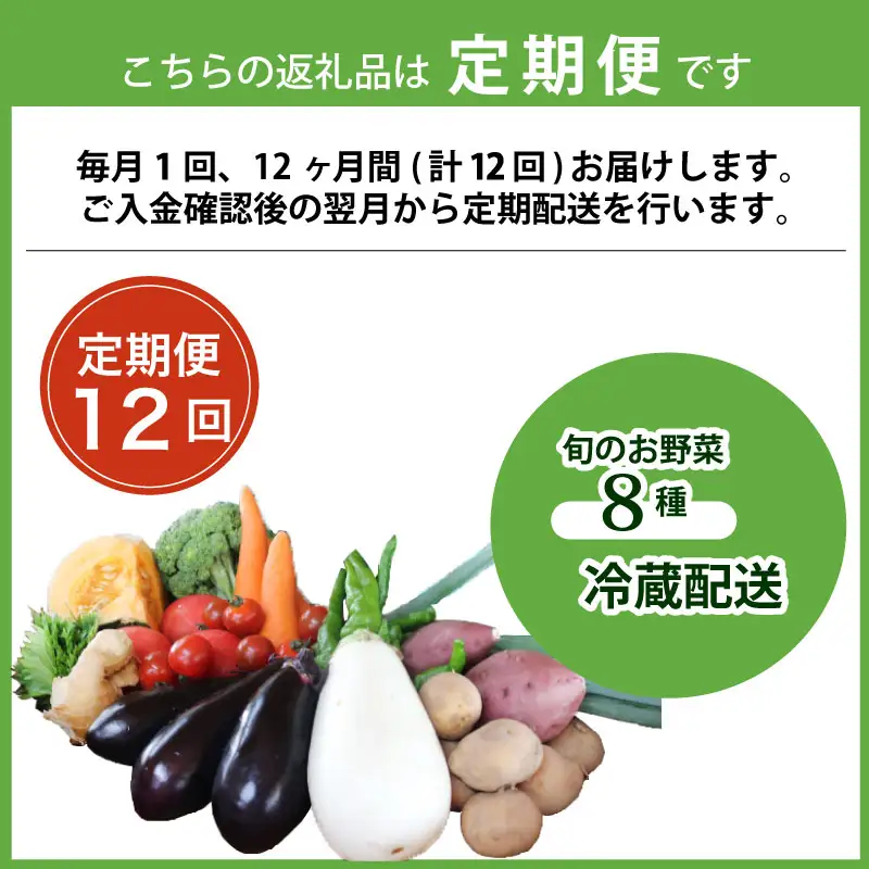 【12回定期便】旬のお野菜詰め合わせセット 定期便 野菜