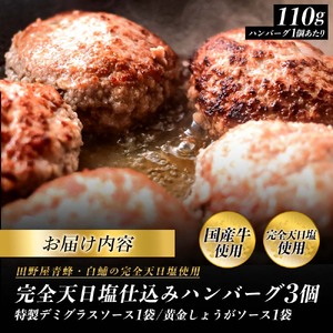食べ比べ！完全天日塩仕込みハンバーグ3種各1個セット 特製デミグラス 黄金しょうがソース付き