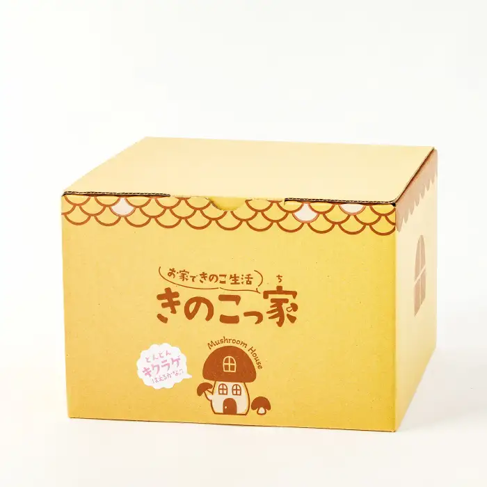 おうちで楽しむ　きくらげ栽培キット　きのこっ家【きのこ きくらげ 木耳 栽培 キット 菌床 1個】