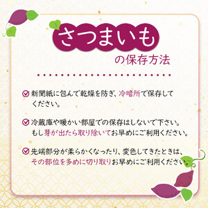 さつまいも なると金時 紅吉（べにきち）2kg  芋 いも