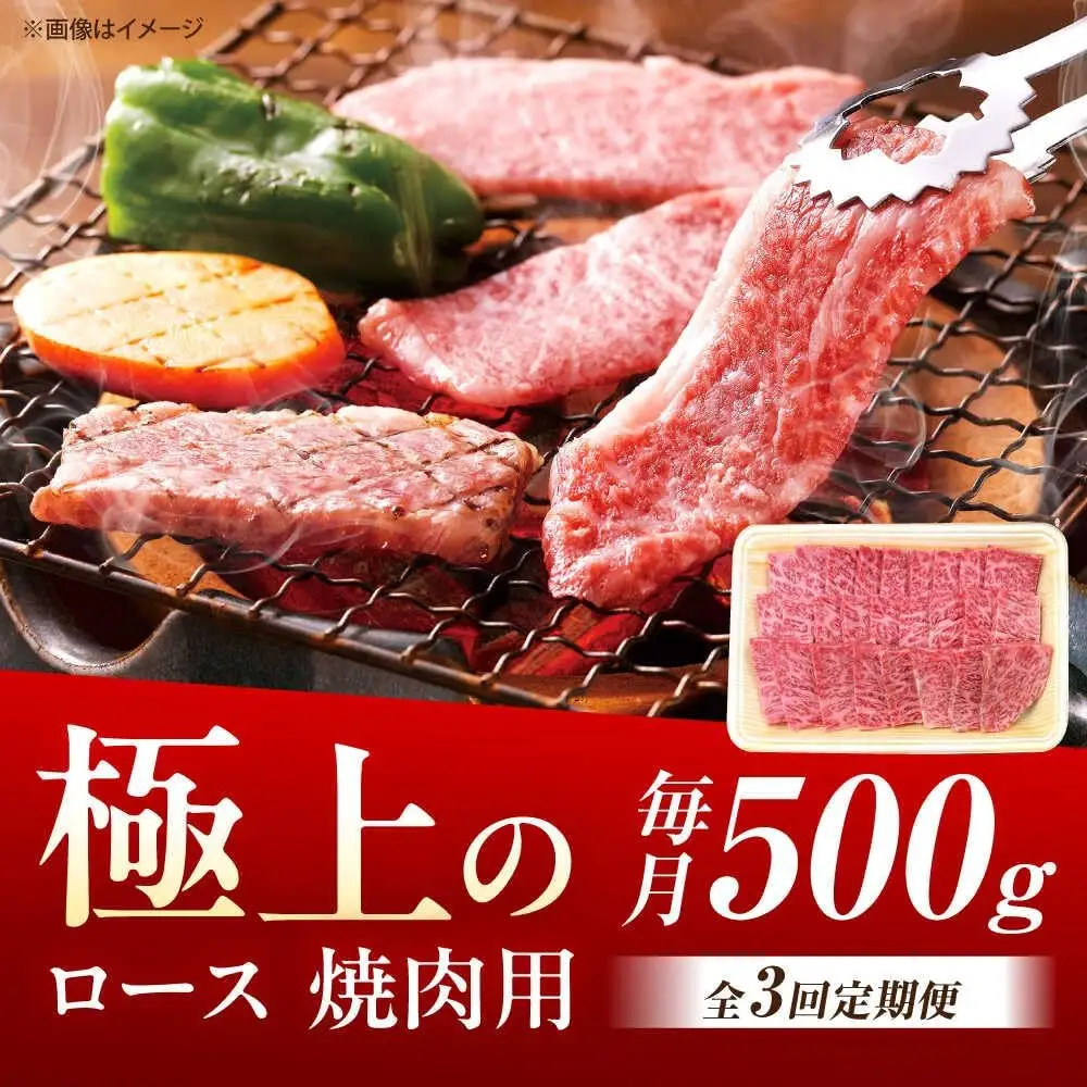 【3回定期便】佐賀牛 ロース 焼肉用 500g /MKミート武雄[UEM055] 焼肉