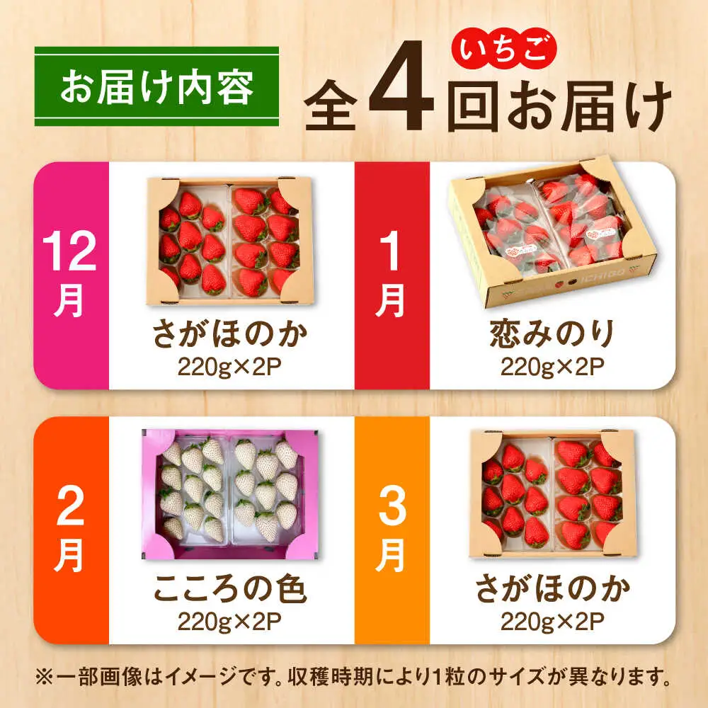 【2026年12月より順次発送】【全4回定期便】さがほのか・恋みのり・こころの色 220g×2パック×4回 / 佐賀県 / 鐘ヶ江農園 [41ASBK006]