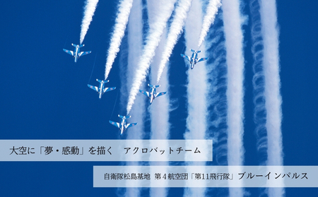 自衛隊 ブルーインパルス 曲技 クリアファイル 2枚組 〈翔〉 エンブレムステッカー 1枚  航空自衛隊 松島基地 宮城県 東松島市