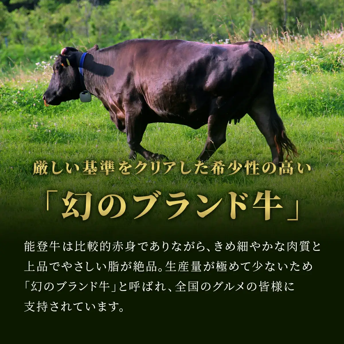 【和牛セレブ】能登牛 切り落とし 300g　wa111　牛　切り落とし