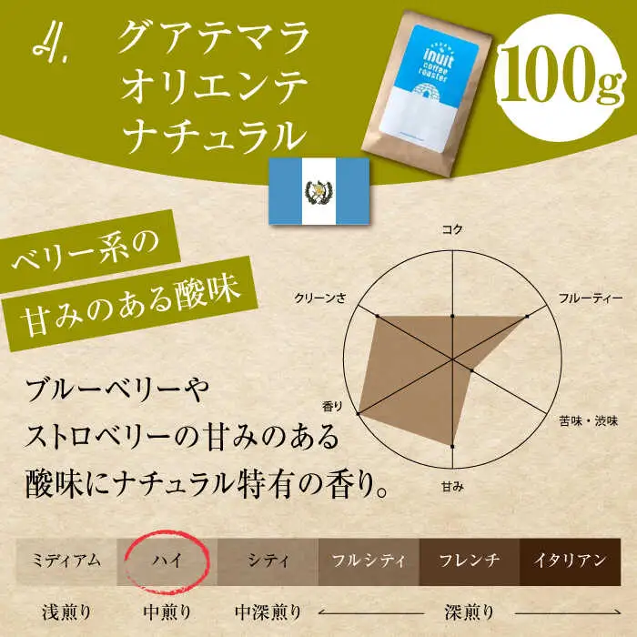 【全12回定期便】 【中粗挽きタイプ】 フルーティな中煎り ＜スペシャルティコーヒー＞ 400ｇセット 【イヌイットコーヒーロースター】[ASAB033]